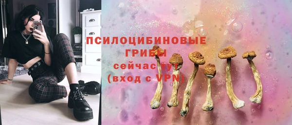 ГАЛЛЮЦИНОГЕННЫЕ ГРИБЫ Приозерск